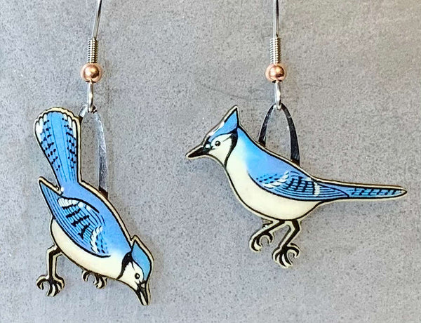 Huge Selection Of Affordable Earrings Tagged 