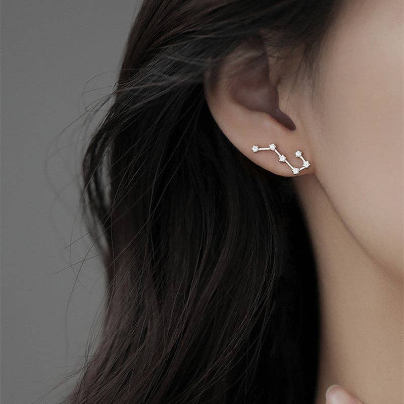 Big Dipper Star Tassel Earrings