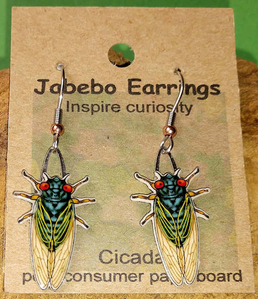 Jabebo Cicada earrings 