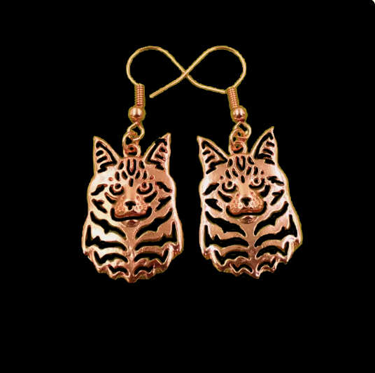 Earrings of Maine Coon cat