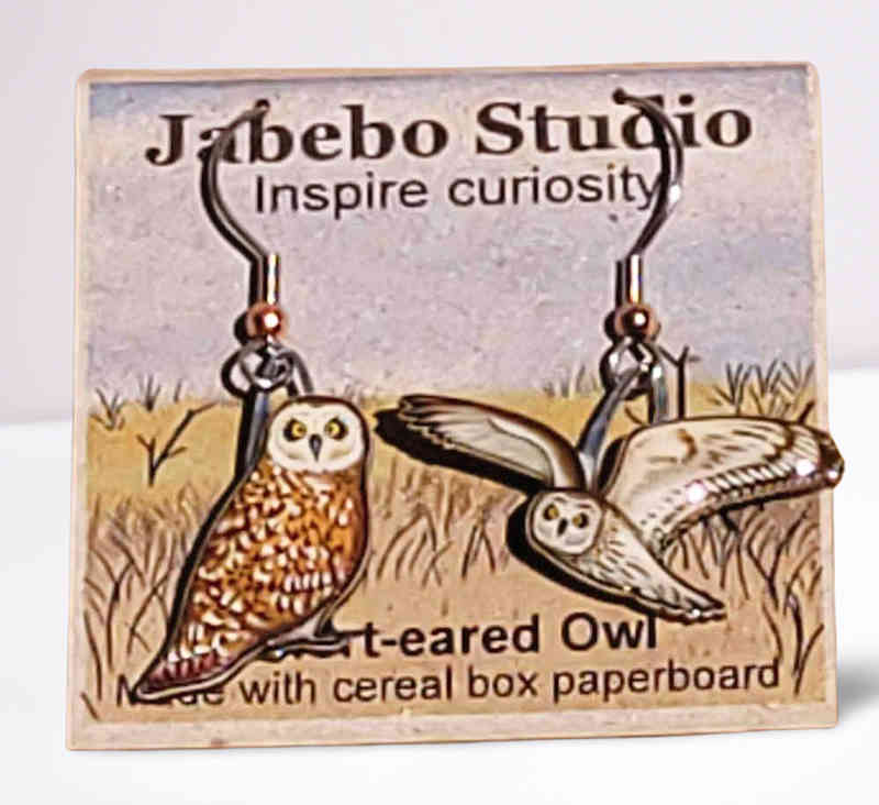 Short-eared Owl earrings