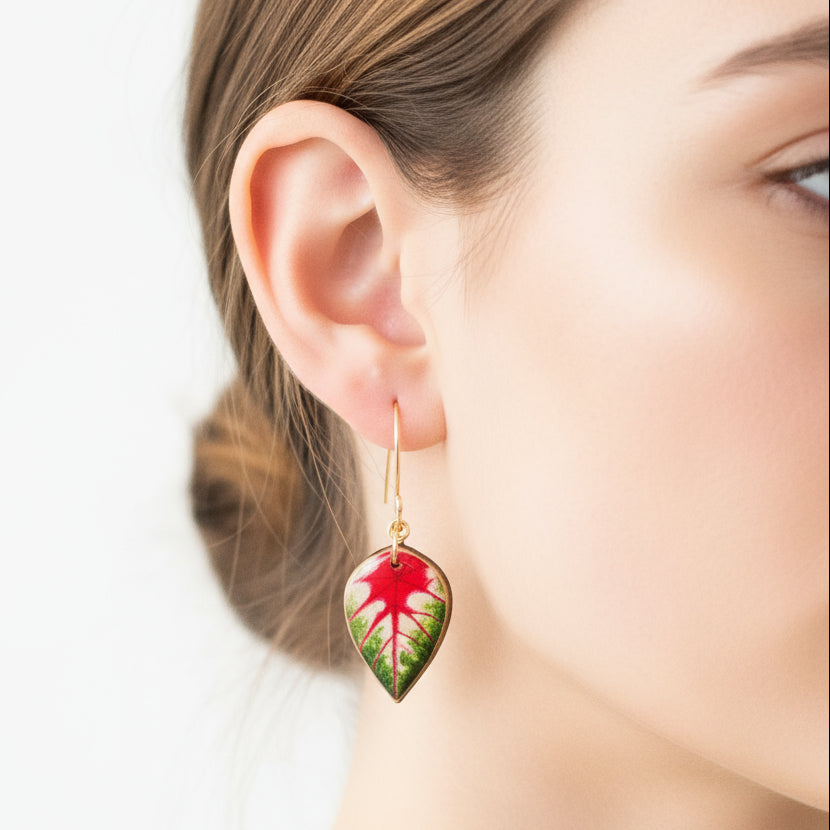 Caladium plant leaves