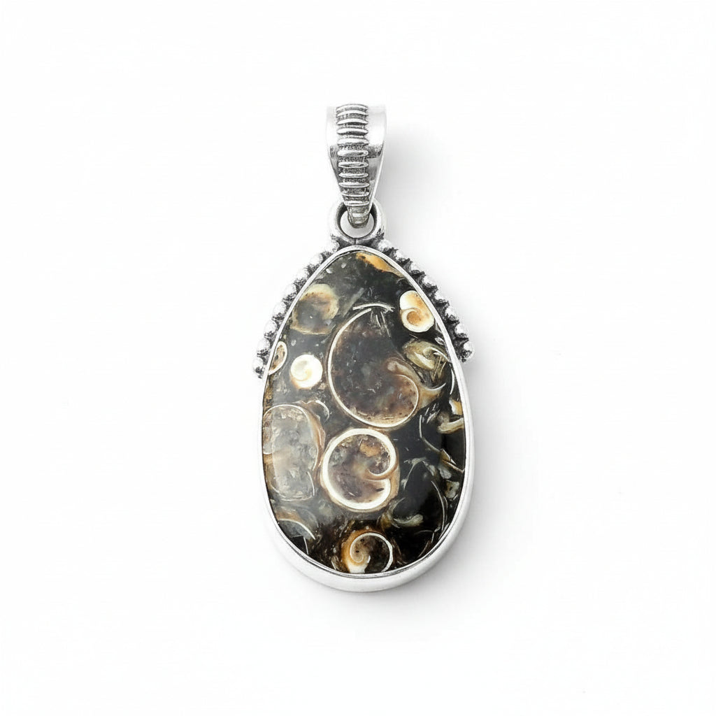 Turritella Agate Silver Pendant