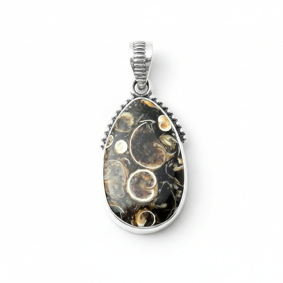 Turritella Agate Silver Pendant