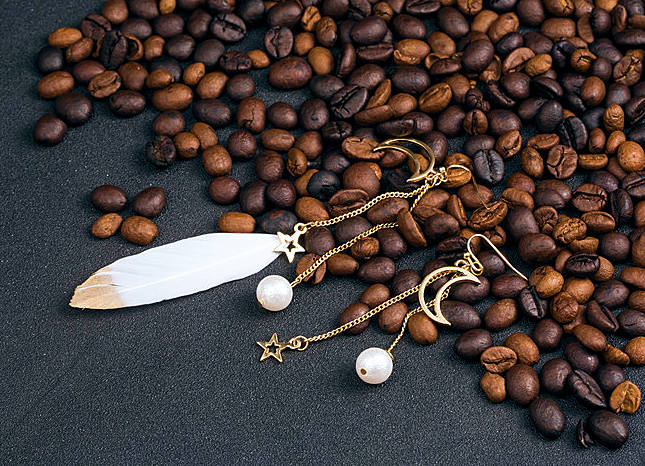 White Feather Earring with Gold Tip and Moon Star Asymmetric Earrings