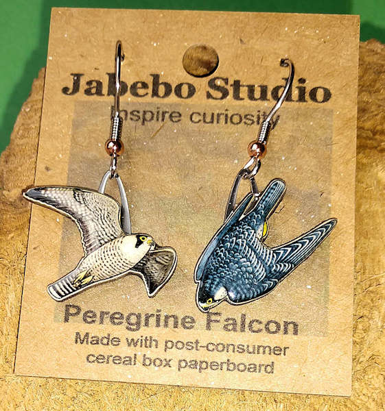 Peregrine Falcon Earrings
