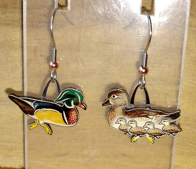 Wood Duck Earrings