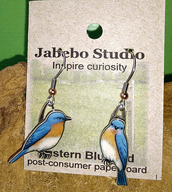 Eastern Bluebird Earrings