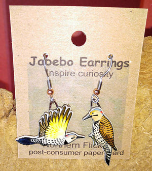 Northern Flicker Earrings (Yellow-Shafted)