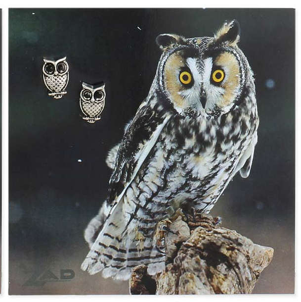 Carded Owl Stud Earrings