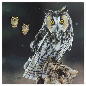 Carded Owl Stud Earrings