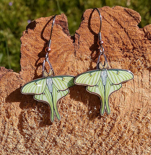 Up-cycled Luna Moth earrings