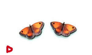 Peacock Pansy Butterfly Earrings