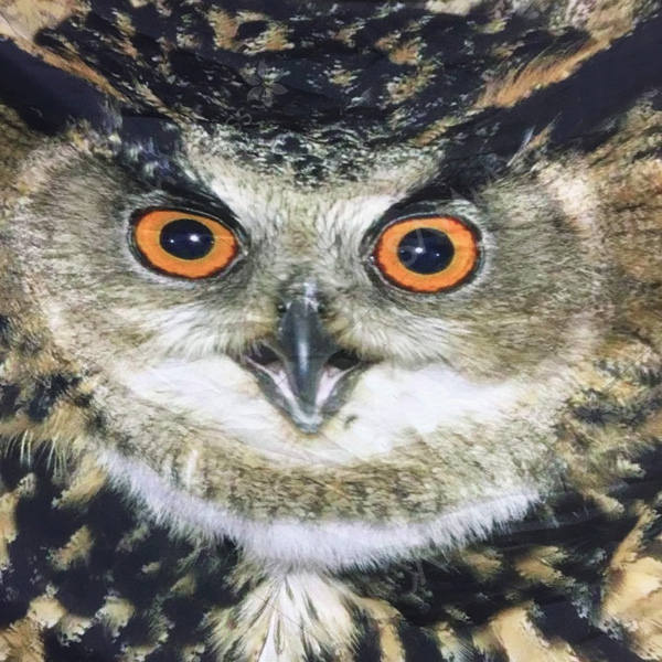 3D Owl Face Scarf - Light Brown